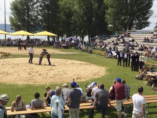 Schwingfest in La Neuveville am 88e Fête de Lutte du Jura Bernois 2015.